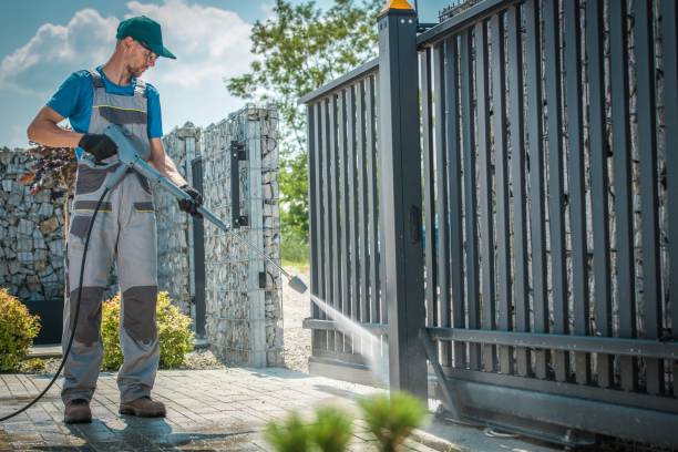Best Spring Cleaning  in La Grulla, TX