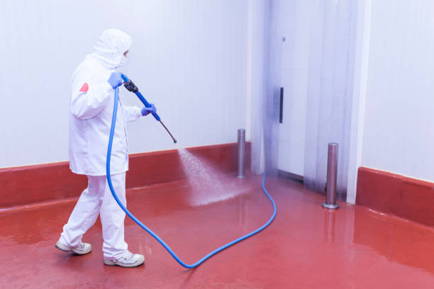 Best House Exterior Washing  in La Grulla, TX