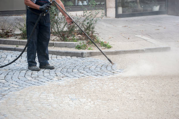 Animal Enclosure Cleaning in La Grulla, TX