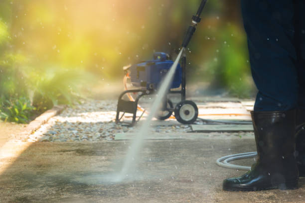 Best Animal Enclosure Cleaning  in La Grulla, TX